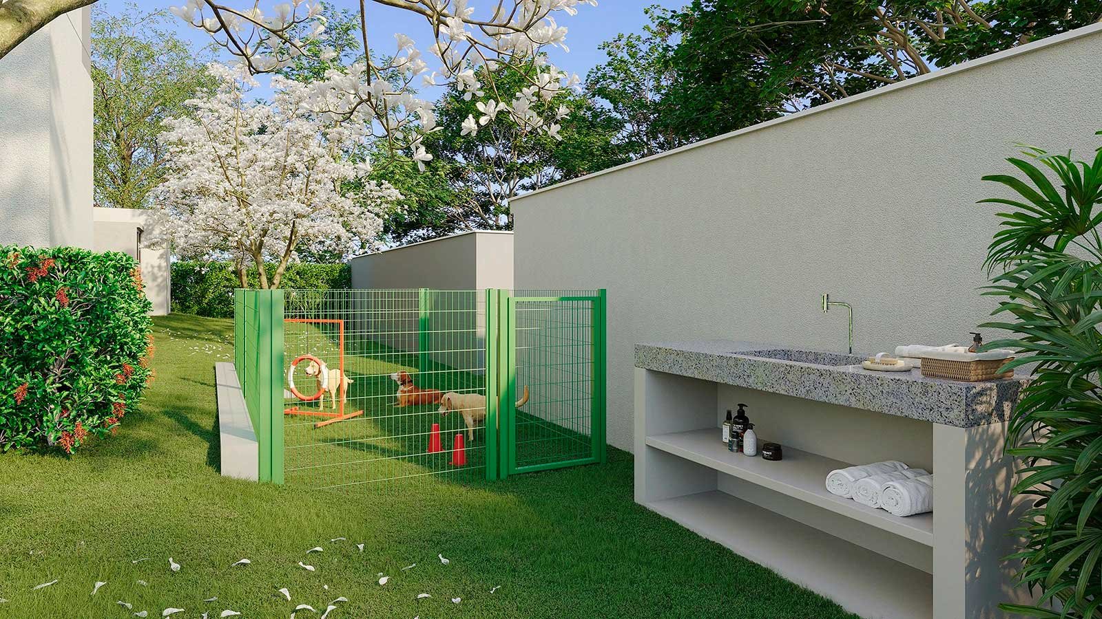 Pet Place e Pet Whash